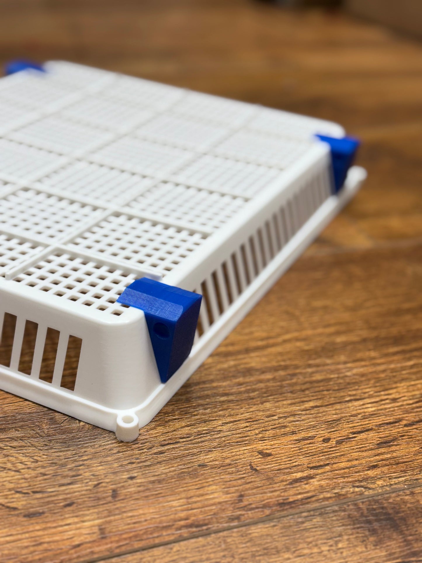 Hatching Time Tray Feet - 8 pack