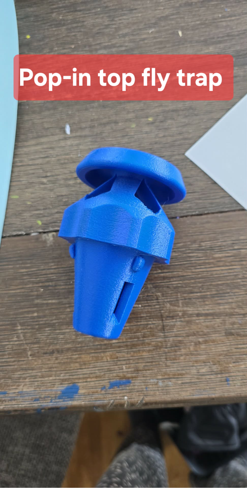 Fly Trap - Top Of Bucket